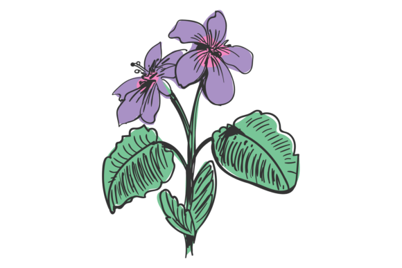 Saffron Flower. Retro Floral Drawing for Embroidery Projects